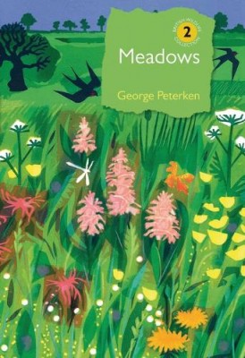 Meadows by Peterken.jpg