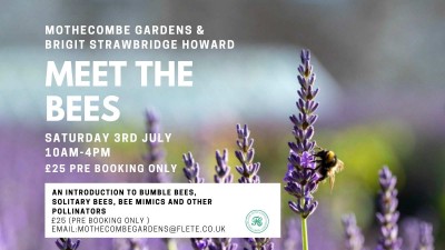 Copy of mothecombe gardens ¶ Brigit Strawbridge Howard.jpg