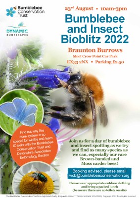 Bumblebee Bioblitz August Poster.jpg